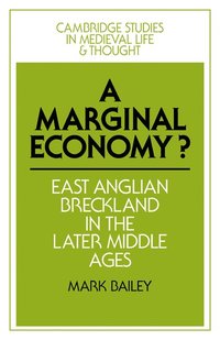 bokomslag A Marginal Economy?