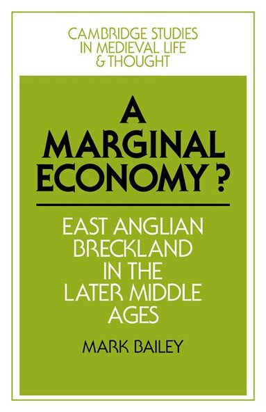 Mark Bailey - A Marginal Economy?, Häftad