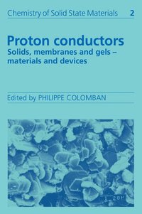 bokomslag Proton Conductors