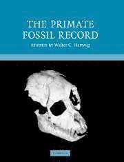 bokomslag The Primate Fossil Record