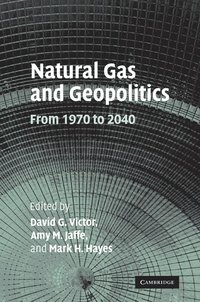bokomslag Natural Gas and Geopolitics