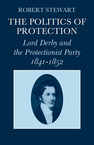 Robert Stewart - The Politics of Protection, Häftad
