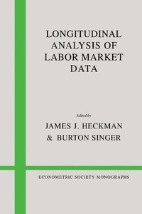 bokomslag Longitudinal Analysis of Labor Market Data