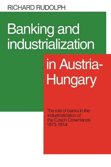 Richard L. Rudolph - Banking and Industrialization in Austria-Hungary, Häftad