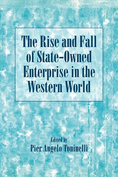 Pier Angelo Toninelli - The Rise and Fall of State-Owned Enterprise in the Western World, Häftad