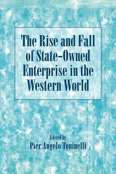 bokomslag The Rise and Fall of State-Owned Enterprise in the Western World