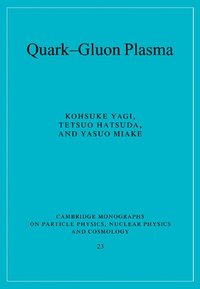 bokomslag Quark-Gluon Plasma