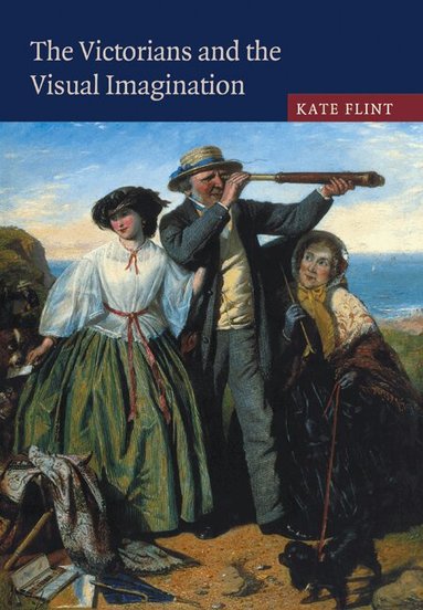 Kate Flint - The Victorians and the Visual Imagination, Häftad