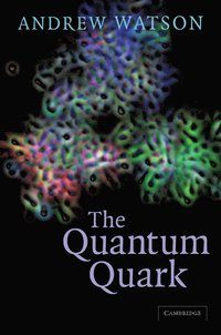 bokomslag The Quantum Quark