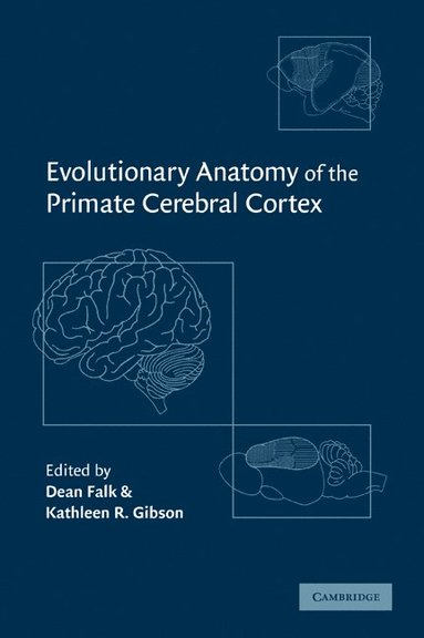 bokomslag Evolutionary Anatomy of the Primate Cerebral Cortex