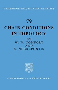 bokomslag Chain Conditions in Topology