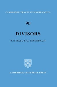 bokomslag Divisors