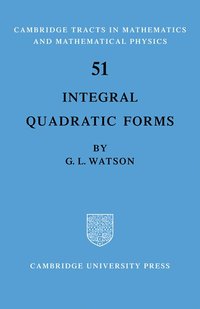 bokomslag Integral Quadratic Forms