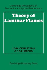 bokomslag Theory of Laminar Flames