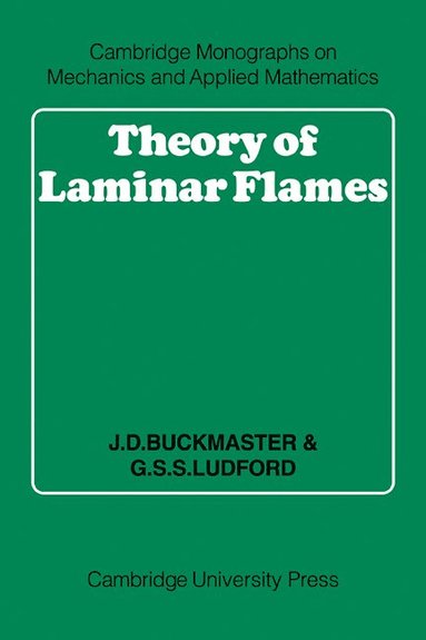 bokomslag Theory of Laminar Flames