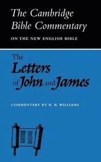 bokomslag The Letters of John and James