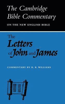 Raymond Brady Williams - Letters of John and James, Häftad