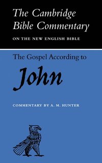 bokomslag The Gospel according to John