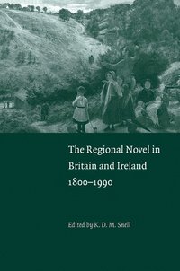 bokomslag The Regional Novel in Britain and Ireland