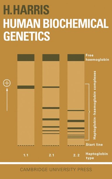 bokomslag Human Biochemical Genetics