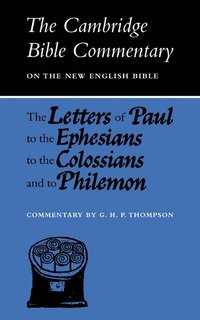 bokomslag The Letters of Paul to the Ephesians to the Colossians and to Philemon