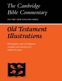bokomslag Old Testament Illustrations