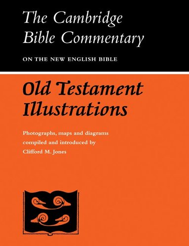Clifford M. Jones, P. R. Ackroyd, A. R. C. Leaney - Old Testament Illustrations, Häftad