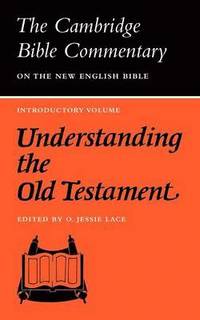 bokomslag Understanding the Old Testament