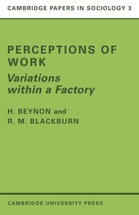 bokomslag Perceptions of Work