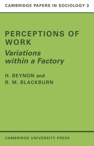 bokomslag Perceptions of Work
