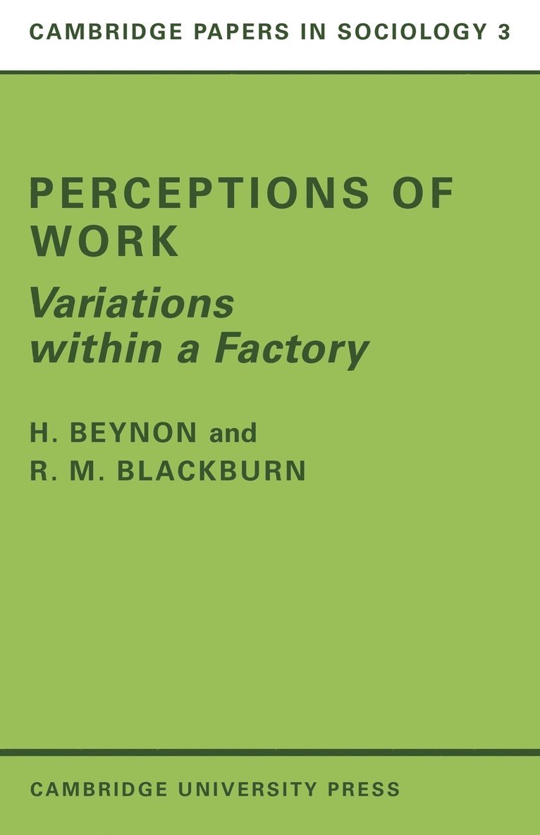 Perceptions of Work 1