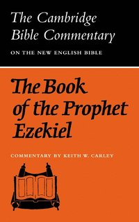bokomslag The Book of the Prophet Ezekiel