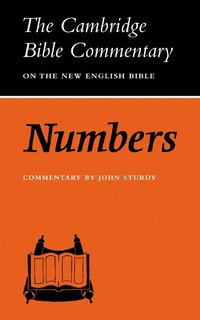 bokomslag Numbers
