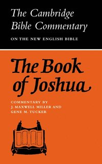 bokomslag The Book of Joshua