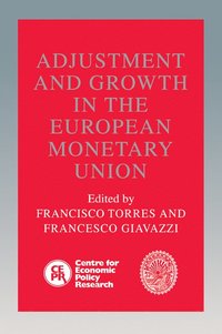 bokomslag Adjustment and Growth in the European Monetary Union