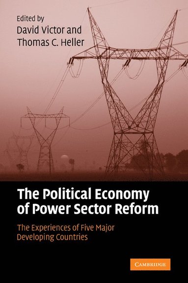bokomslag The Political Economy of Power Sector Reform
