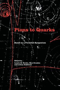 bokomslag Pions to Quarks