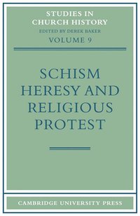 bokomslag Schism, Heresy and Religious Protest