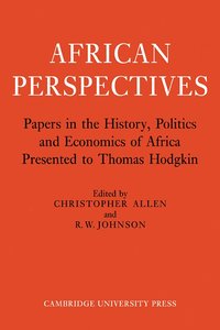 bokomslag African Perspectives
