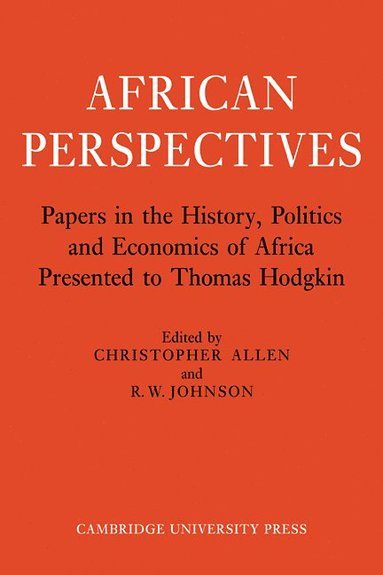 bokomslag African Perspectives