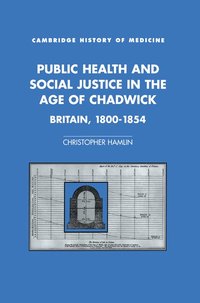 bokomslag Public Health and Social Justice in the Age of Chadwick