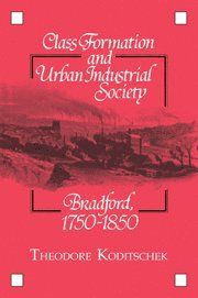 Theodore Koditschek - Class Formation and Urban Industrial Society, Häftad