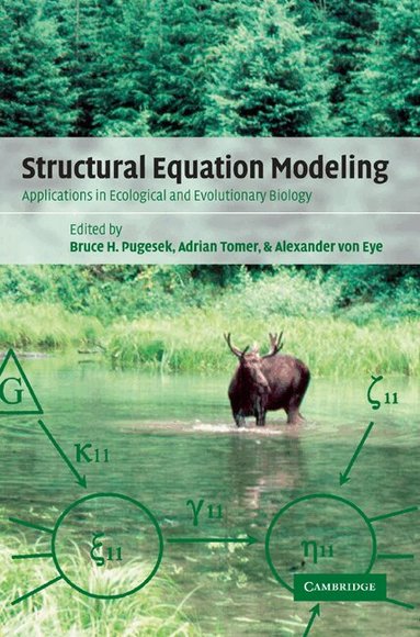 Bruce H. Pugesek, Adrian Tomer, Alexander von Eye - Structural Equation Modeling, Häftad