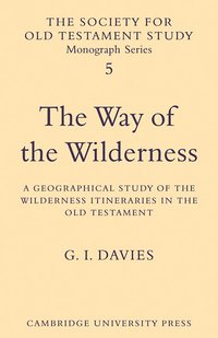 bokomslag The Way of the Wilderness