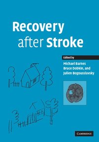 bokomslag Recovery after Stroke
