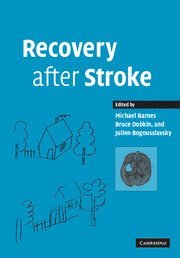 bokomslag Recovery after Stroke