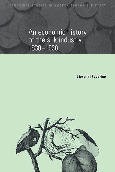 Giovanni Federico - An Economic History of the Silk Industry, 1830-1930, Häftad