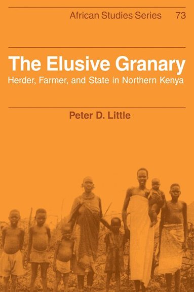 Peter D. Little - The Elusive Granary, Häftad