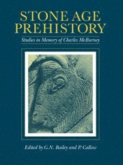 G. N. Bailey, P. Callow, Bailey G. N. - Stone Age Prehistory, Häftad