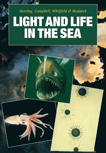 Peter J. Herring, Anthony K. Campbell, Michael Whitfield, Linda Maddock - Light and Life in the Sea, Häftad